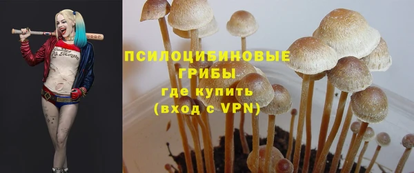 героин Богородицк