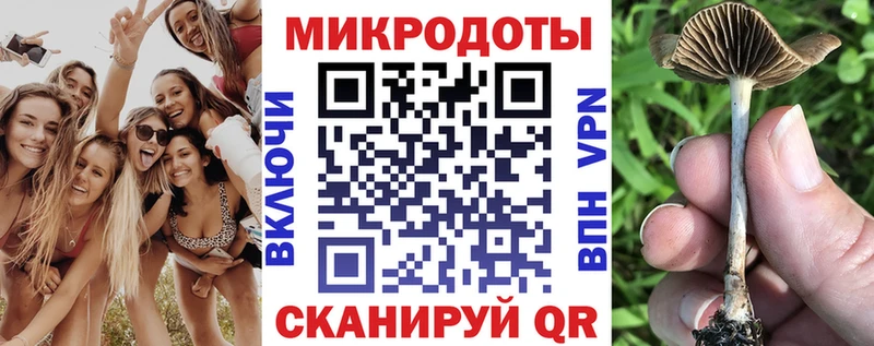 Галлюциногенные грибы мухоморы Кировск